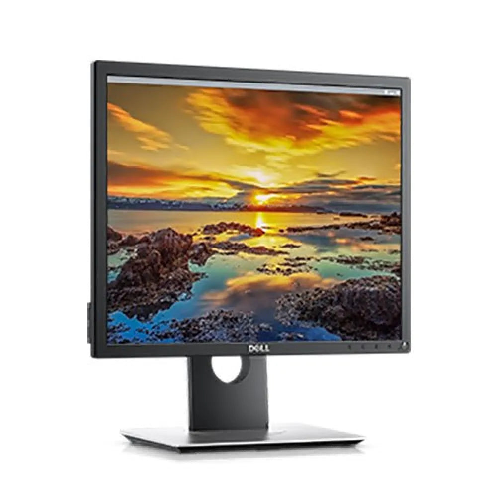 Dell 19" Professional Monitor (P1917S) - LED Backlit, Adjustable Stand