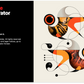 Adobe Illustrator 2024