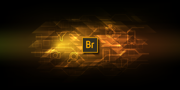 Adobe Bridge 2024