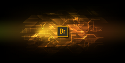 Adobe Bridge 2024