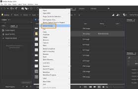 Adobe Bridge 2024